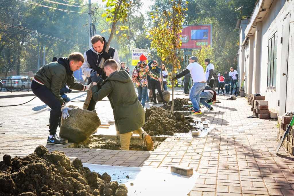 В Ростовской области 13 апреля состоится День древонасаждения - фото 1